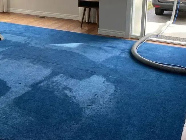 Extraction wand pulling water out of a soaked area rug