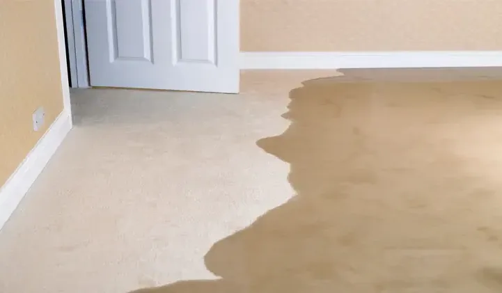 Water spreading across carpet from a doorway