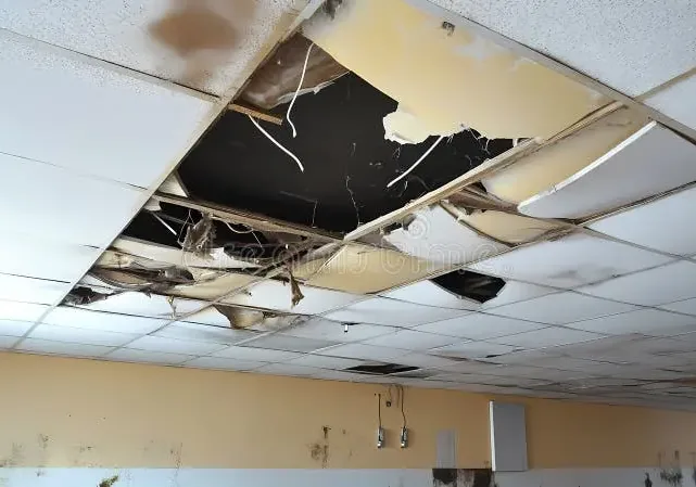 Collapsed, water-stained ceiling tiles hanging in an office