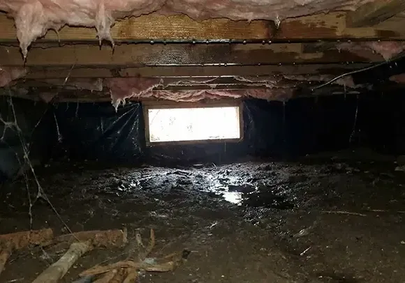 Wet soil and sagging insulation in a crawl space under a raised house