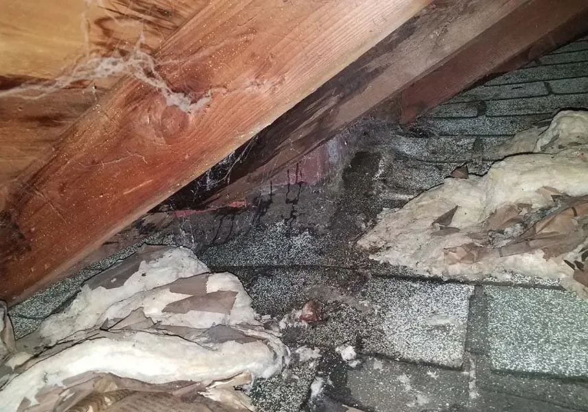 Soaked, matted attic insulation under a rafter after a roof leak